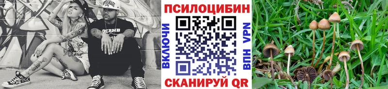 Псилоцибиновые грибы ЛСД  Купить где  Беломорск 